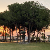 фото из отзыва ID 2632640