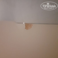 фото из отзыва ID 2640524