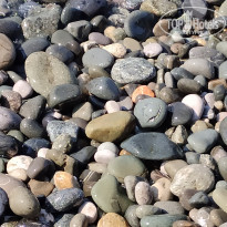 фото из отзыва ID 2640133