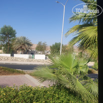 фото из отзыва ID 2641264