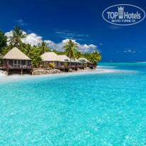 фото из отзыва ID 2642267