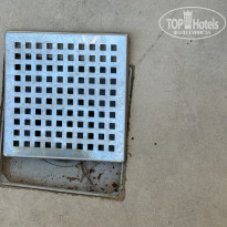 фото из отзыва ID 2643034