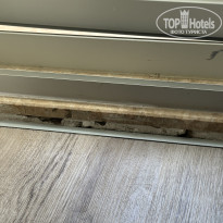 фото из отзыва ID 2643034