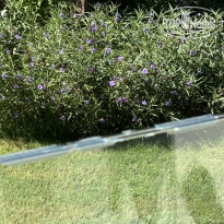 фото из отзыва ID 2643034