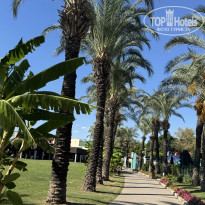 фото из отзыва ID 2643064