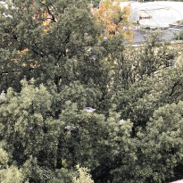 фото из отзыва ID 2643131