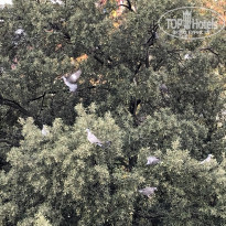 фото из отзыва ID 2643131