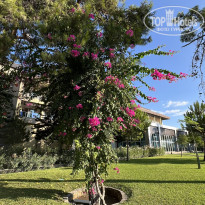 фото из отзыва ID 2643205