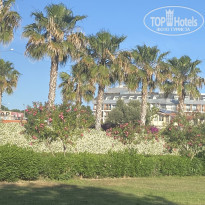 фото из отзыва ID 2643258