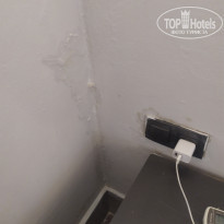 фото из отзыва ID 2643632