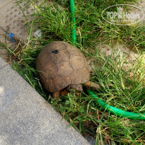 фото из отзыва ID 2644283