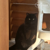 фото из отзыва ID 2644283