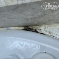 фото из отзыва ID 2644502