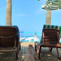 фото из отзыва ID 2644574