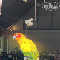 фото из отзыва ID 2644725