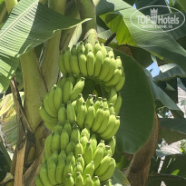 фото из отзыва ID 2644725