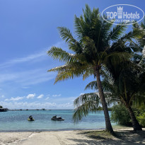 фото из отзыва ID 2644725