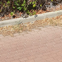 фото из отзыва ID 2645299