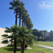 фото из отзыва ID 2645297