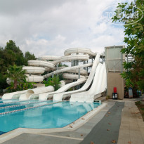 фото из отзыва ID 2646775