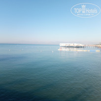 фото из отзыва ID 2646775