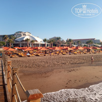 фото из отзыва ID 2646775