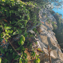 фото из отзыва ID 2646857