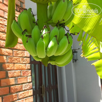 фото из отзыва ID 2646962