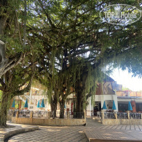 фото из отзыва ID 2647381