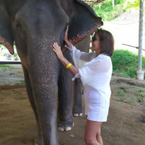 фото из отзыва ID 2647483