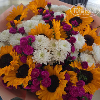 фото из отзыва ID 2647758