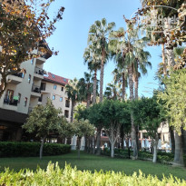 фото из отзыва ID 2648036