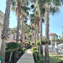 фото из отзыва ID 2648036