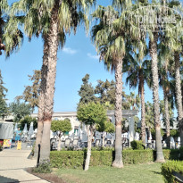 фото из отзыва ID 2648036