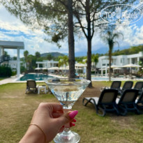 фото из отзыва ID 2648062