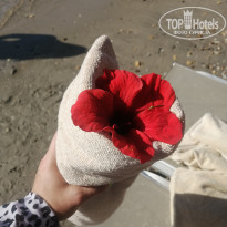 фото из отзыва ID 2648378