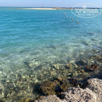 фото из отзыва ID 2649292