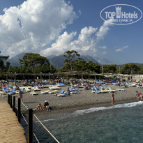 фото из отзыва ID 2649461