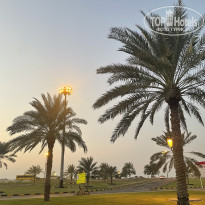 фото из отзыва ID 2649465