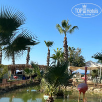 фото из отзыва ID 2649960