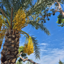 фото из отзыва ID 2647817