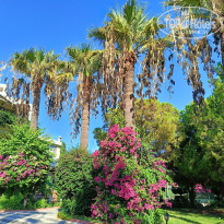 фото из отзыва ID 2650069