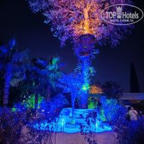 фото из отзыва ID 2650069