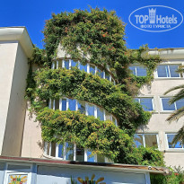 фото из отзыва ID 2650069