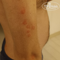 фото из отзыва ID 2650241