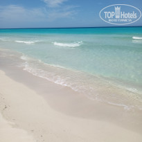 фото из отзыва ID 2650478