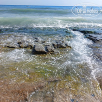 фото из отзыва ID 2650502