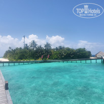 фото из отзыва ID 2650550