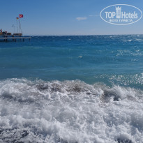 фото из отзыва ID 2650747