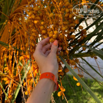 фото из отзыва ID 2650456